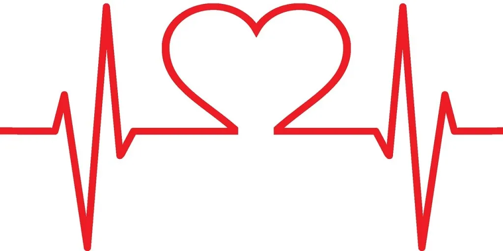 Keep your heart healthy with us here at TPTS Fitness Club in Swansea