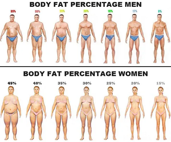 body-fat-percentage-men-women